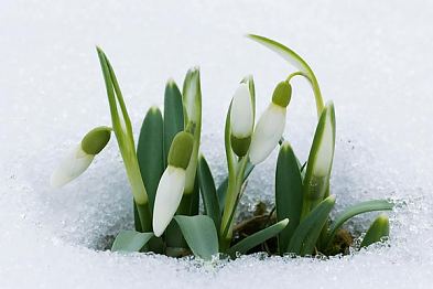 M�rtsikuu tegemised